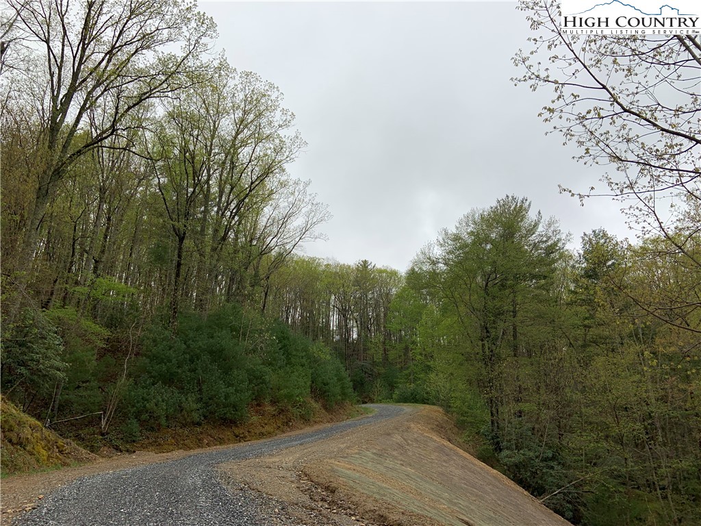 Rapids Run Deep Gap, NC 28618 - Photo 2 of 14 Gallery Image 2
