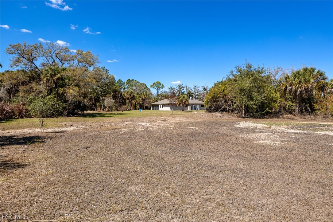 18890 Fox Run Road Alva, FL 33920 - Photo 32 of 50 a view of a field with trees in the background