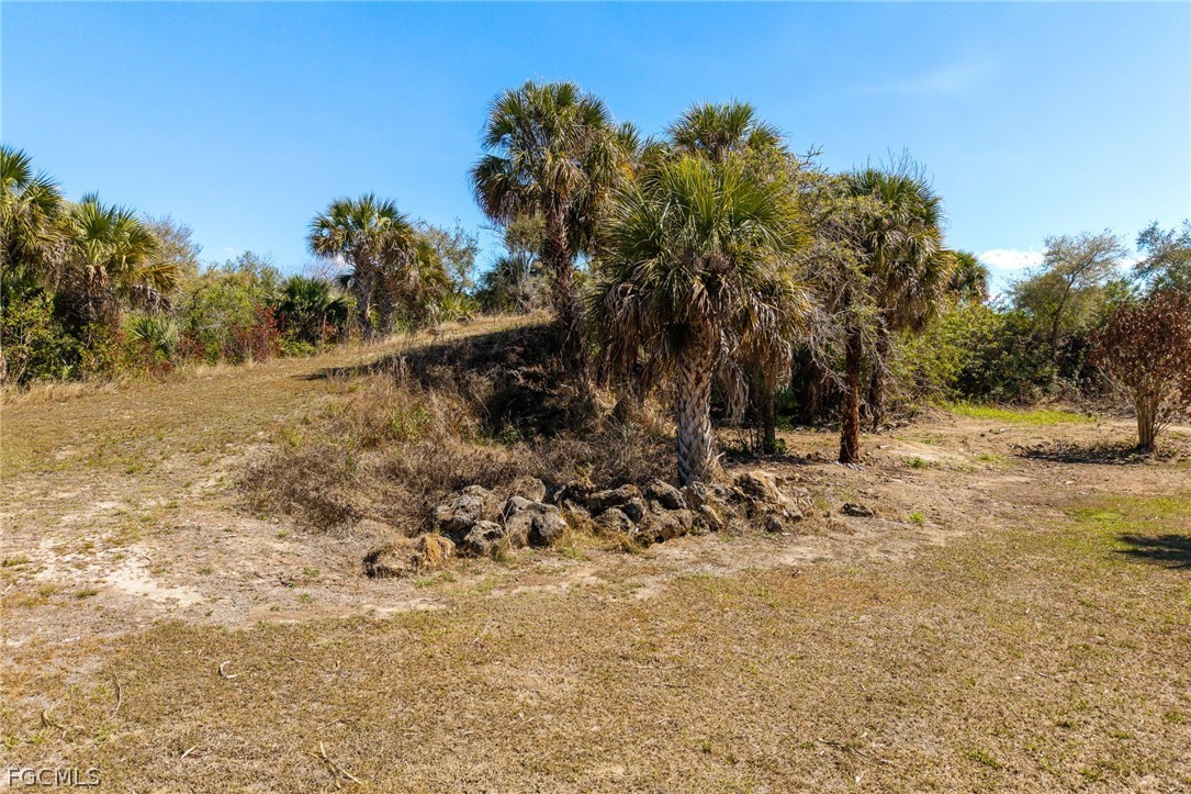 18890 Fox Run Road Alva, FL 33920 - Photo 33 of 50 a view of a yard covered in snow