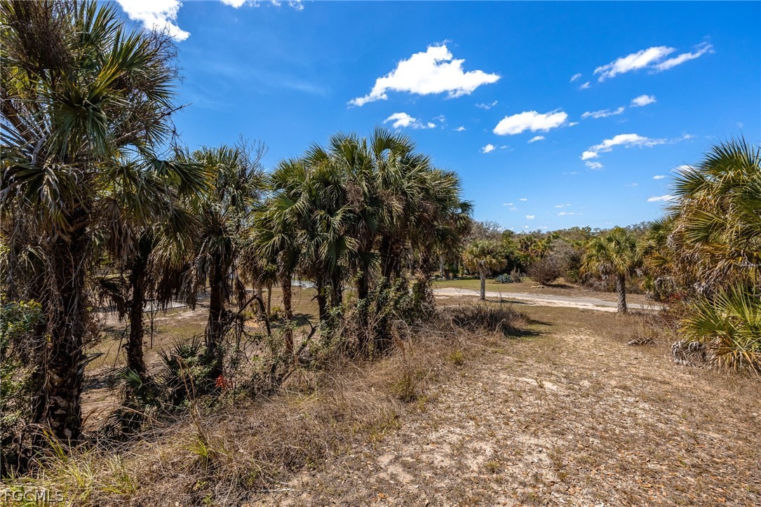 18890 Fox Run Road Alva, FL 33920 - Photo 34 of 50 a view of a yard with a tree