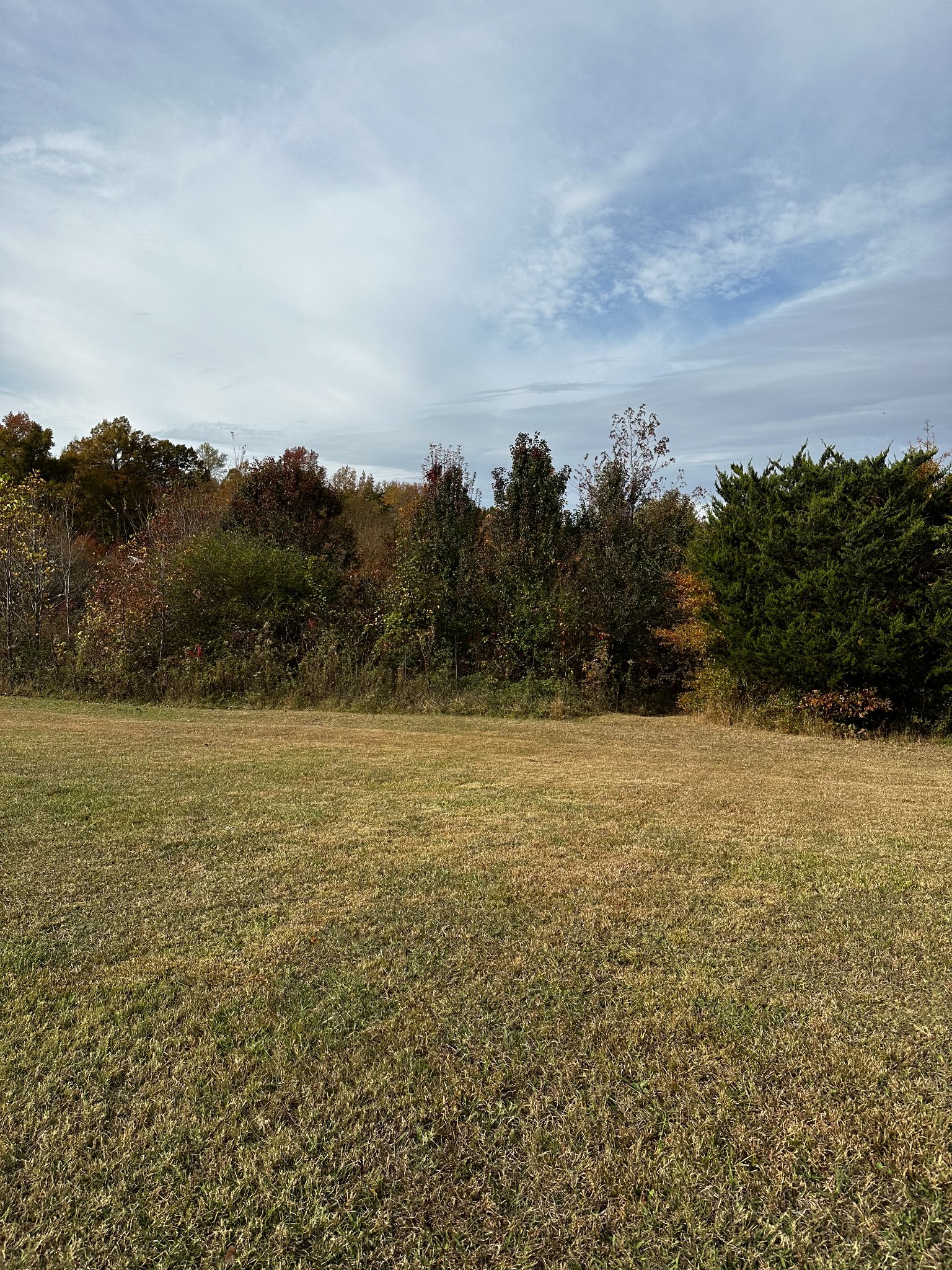 0 Old Qualls Road Cookeville, TN 38506 - Photo 3 of 4 Gallery Image 3