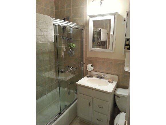 7119 Shore Road, Unit 2E Brooklyn, NY 11209 - Photo 5 of 8 Bathroom