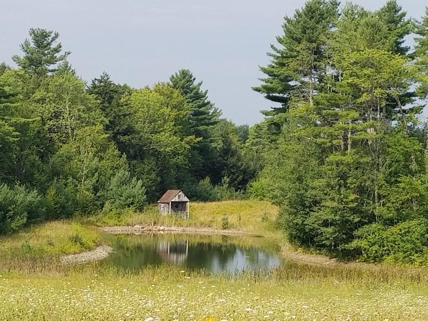 179 Dirigo Road South China, ME 04358 - Photo 30 of 33 Pond and cabin