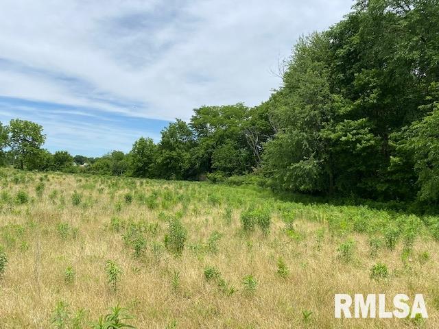 103-110 140th Street Taylor Ridge, IL 61284 - Photo 4 of 7