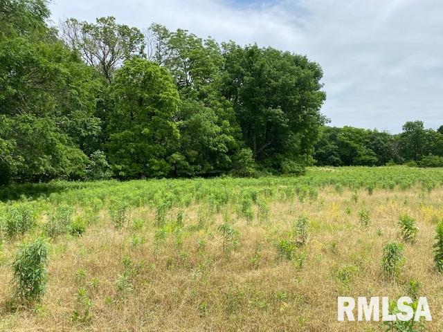103-110 140th Street Taylor Ridge, IL 61284 - Photo 5 of 7
