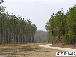 30 Acr Parsons Road McConnells, SC 29726 - Photo 1 of 4 Gallery Image 1