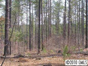 30 Acr Parsons Road McConnells, SC 29726 - Photo 2 of 4 Gallery Image 2