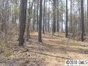 30 Acr Parsons Road McConnells, SC 29726 - Photo 3 of 4 Gallery Image 3