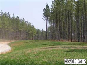 30 Acr Parsons Road McConnells, SC 29726 - Photo 4 of 4 Gallery Image 4