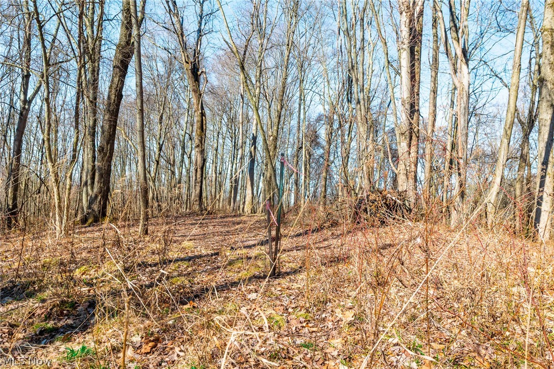 2535 Millersburg Road Wooster, OH 44691 - Photo 26 of 46 View of undeveloped land