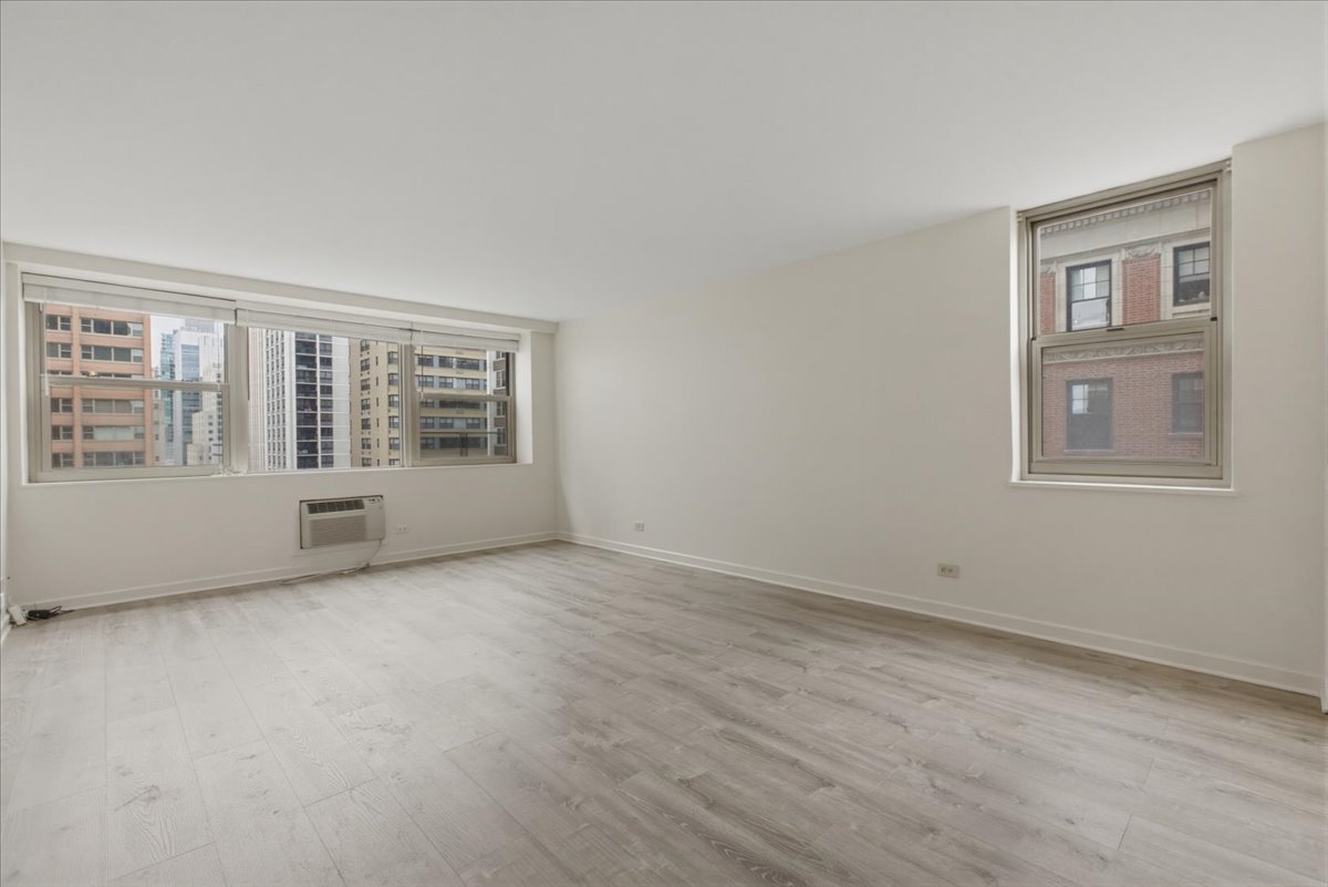 253 East Delaware Place, Unit 12H Chicago, IL 60611 - Photo 2 of 14