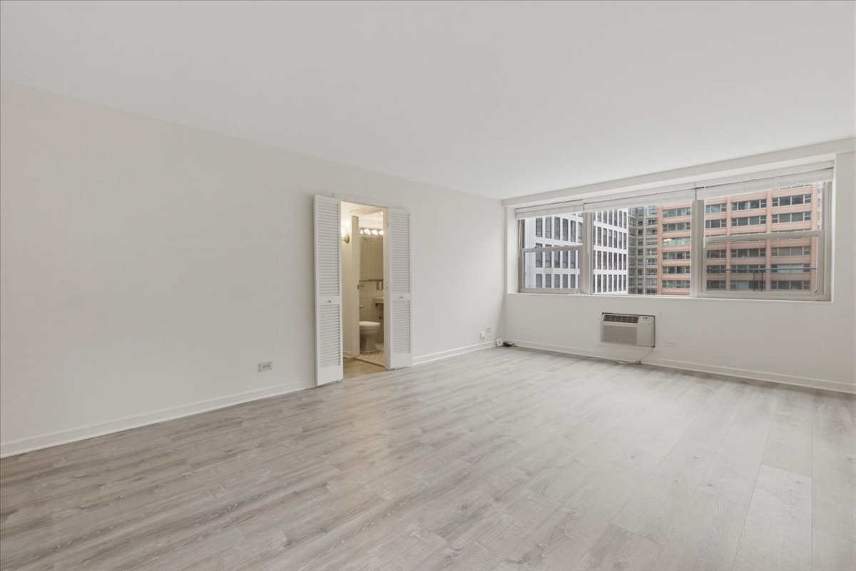253 East Delaware Place, Unit 12H Chicago, IL 60611 - Photo 3 of 14