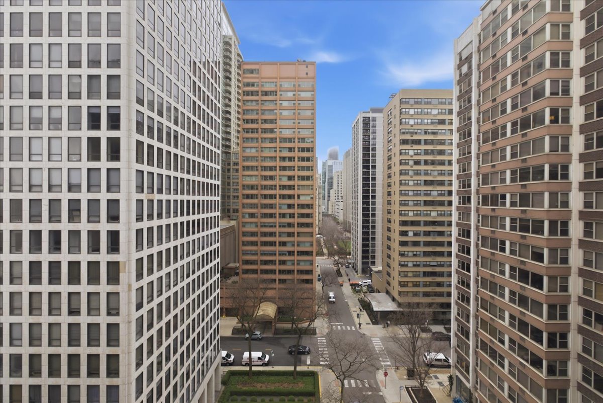 253 East Delaware Place, Unit 12H Chicago, IL 60611 - Photo 4 of 14