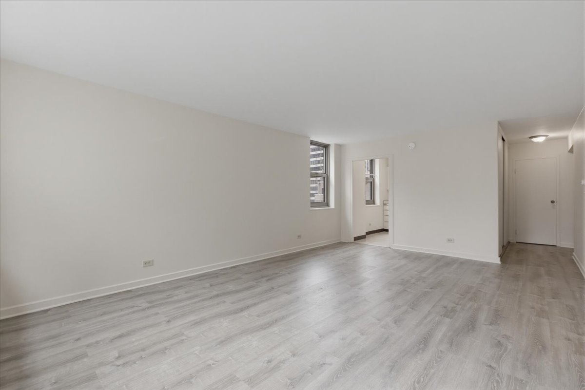 253 East Delaware Place, Unit 12H Chicago, IL 60611 - Photo 6 of 14