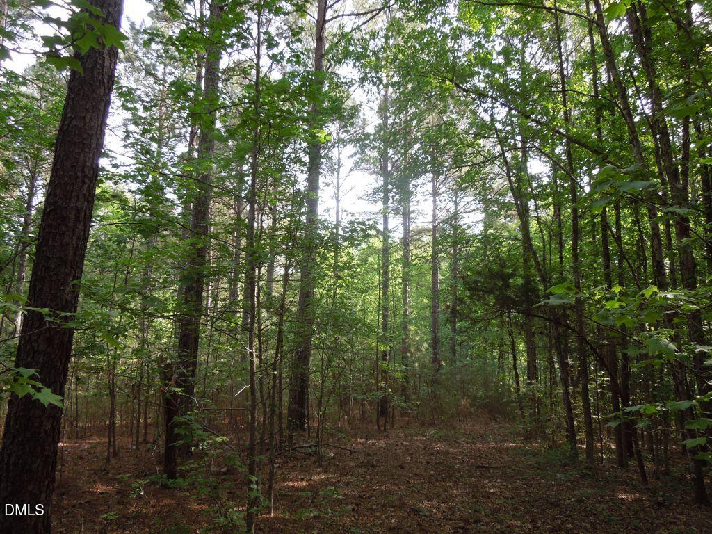 0 Glebe Road Henderson, NC 27537 - Photo 19 of 34 DSCN0491