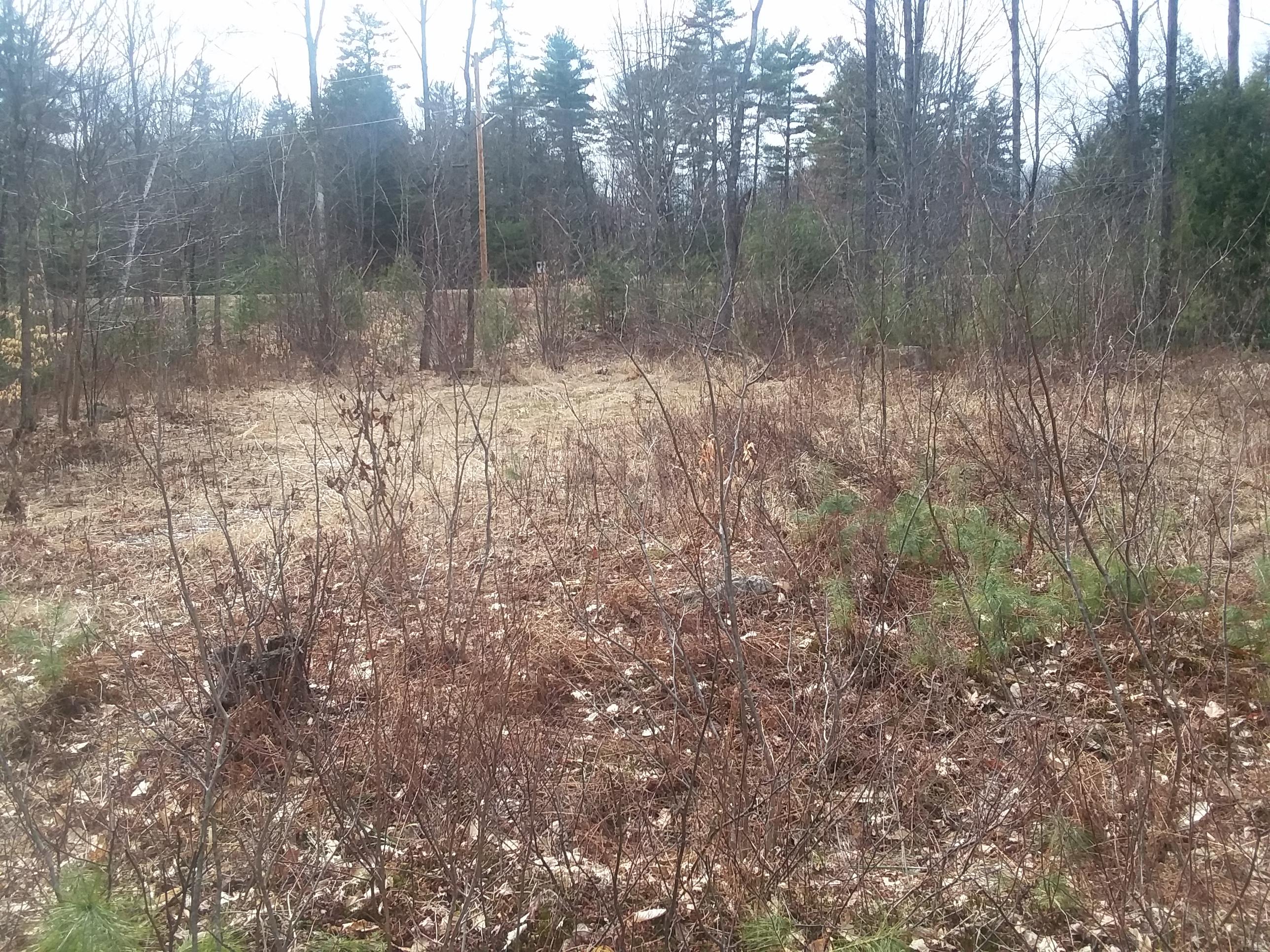 0 Route 5 Road Fryeburg, ME 04037 - Photo 6 of 12 20200412_150011