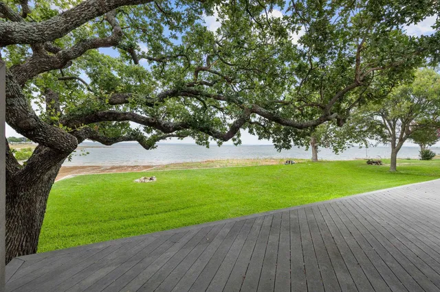 a view of a park with large trees