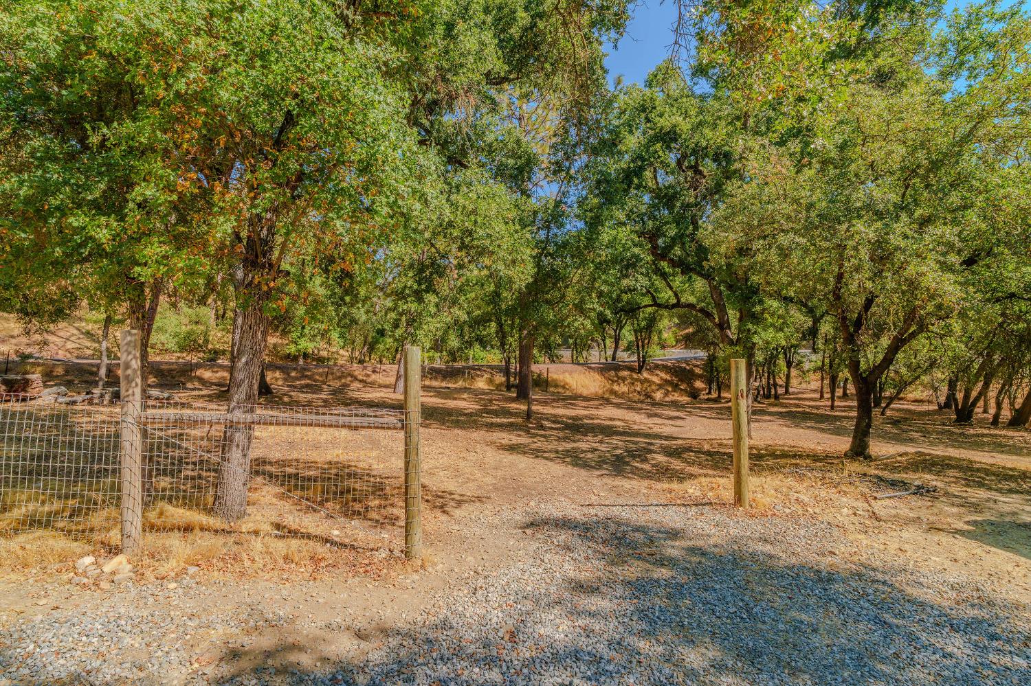 2988 Spring Hill Road San Andreas, CA 95249 - Photo 49 of 95 a view of a yard