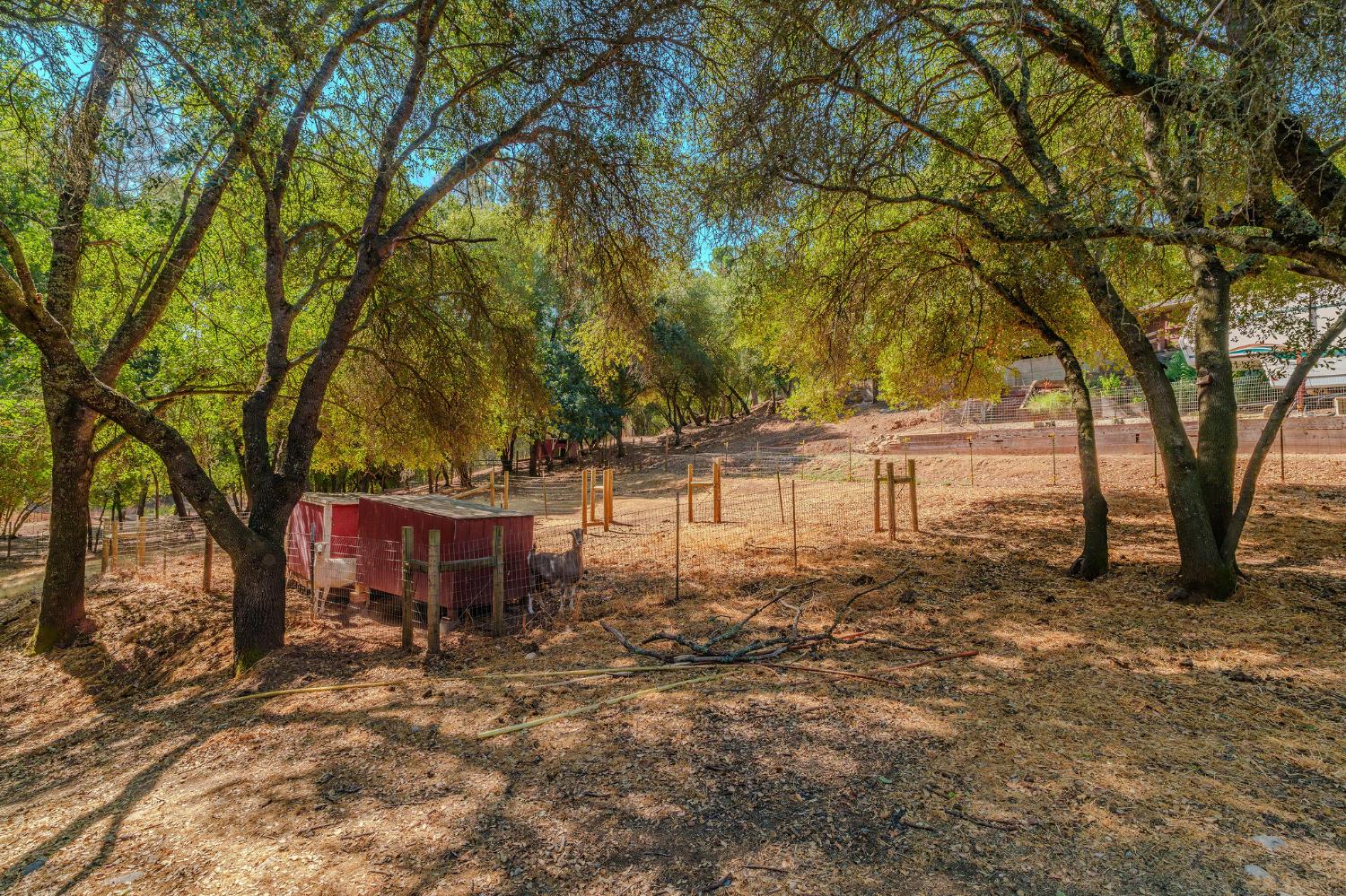 2988 Spring Hill Road San Andreas, CA 95249 - Photo 52 of 95 a view of a backyard with large trees