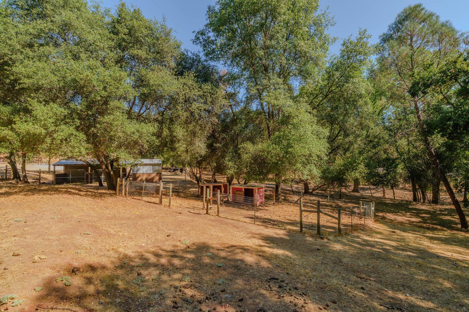 2988 Spring Hill Road San Andreas, CA 95249 - Photo 58 of 95 a view of a park with bench and trees