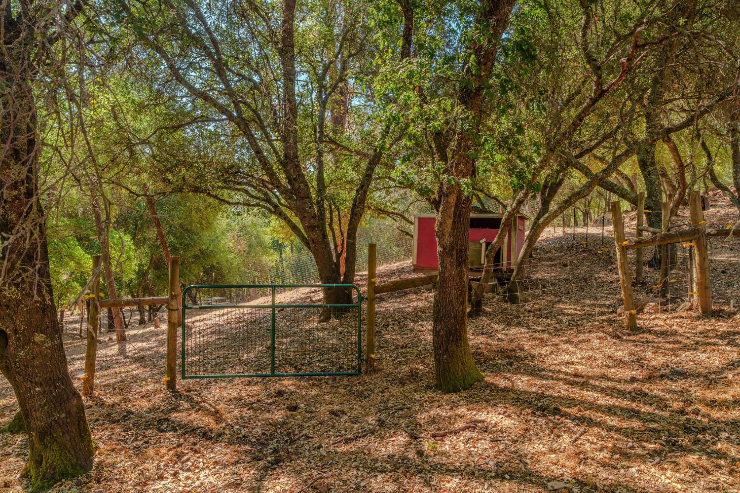 2988 Spring Hill Road San Andreas, CA 95249 - Photo 59 of 95