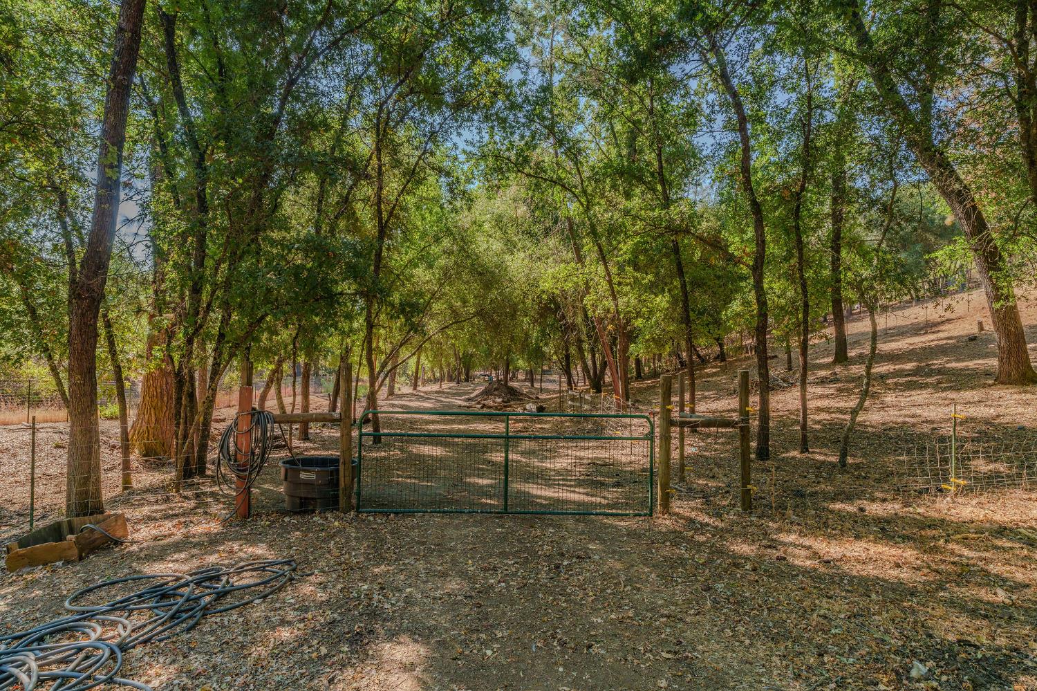 2988 Spring Hill Road San Andreas, CA 95249 - Photo 62 of 95