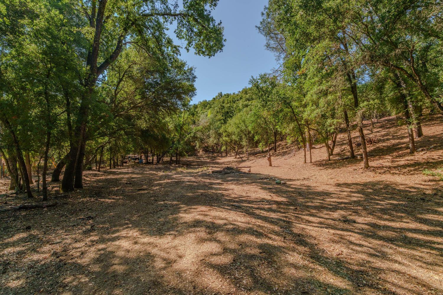 2988 Spring Hill Road San Andreas, CA 95249 - Photo 64 of 95