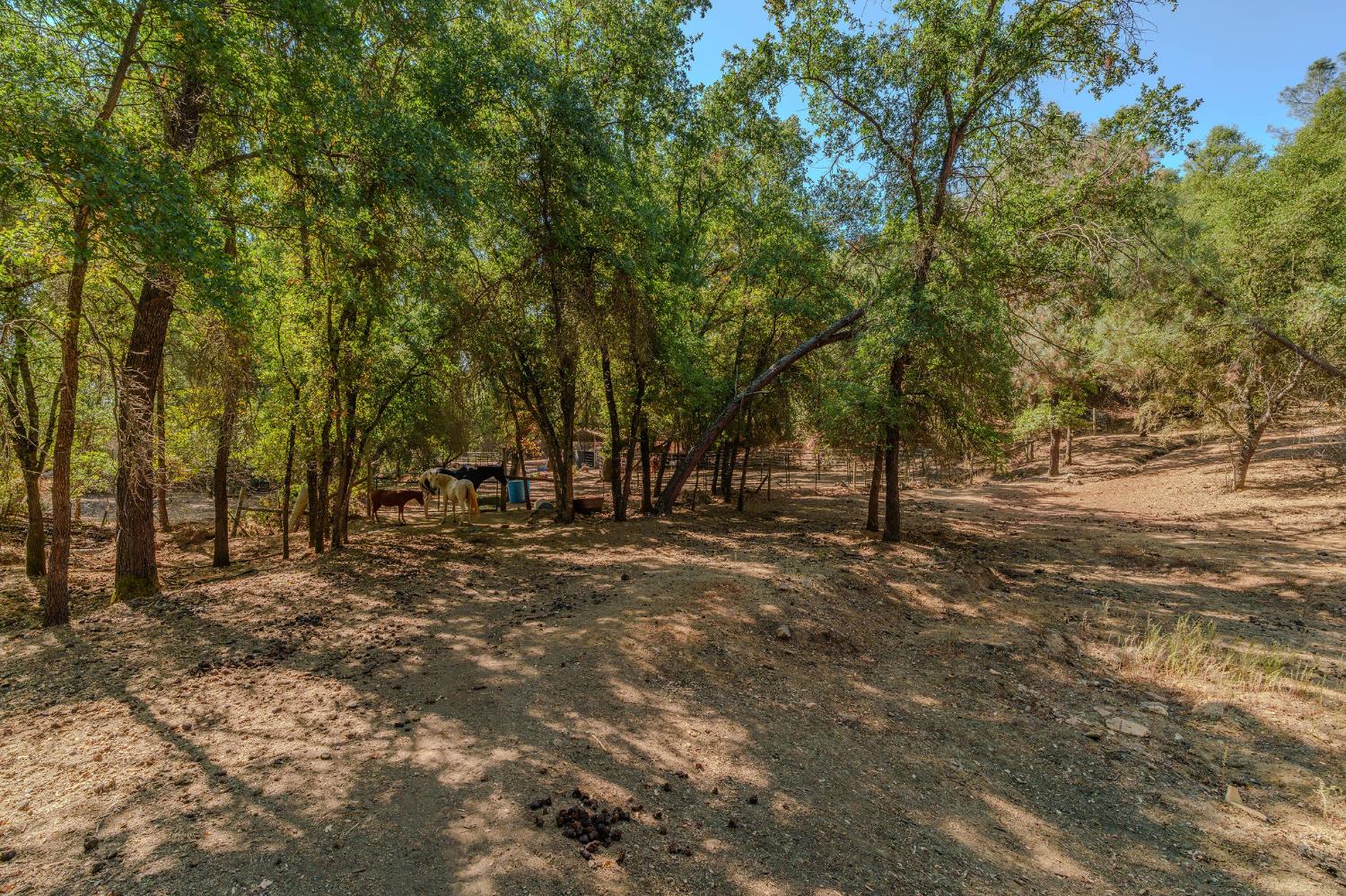 2988 Spring Hill Road San Andreas, CA 95249 - Photo 65 of 95