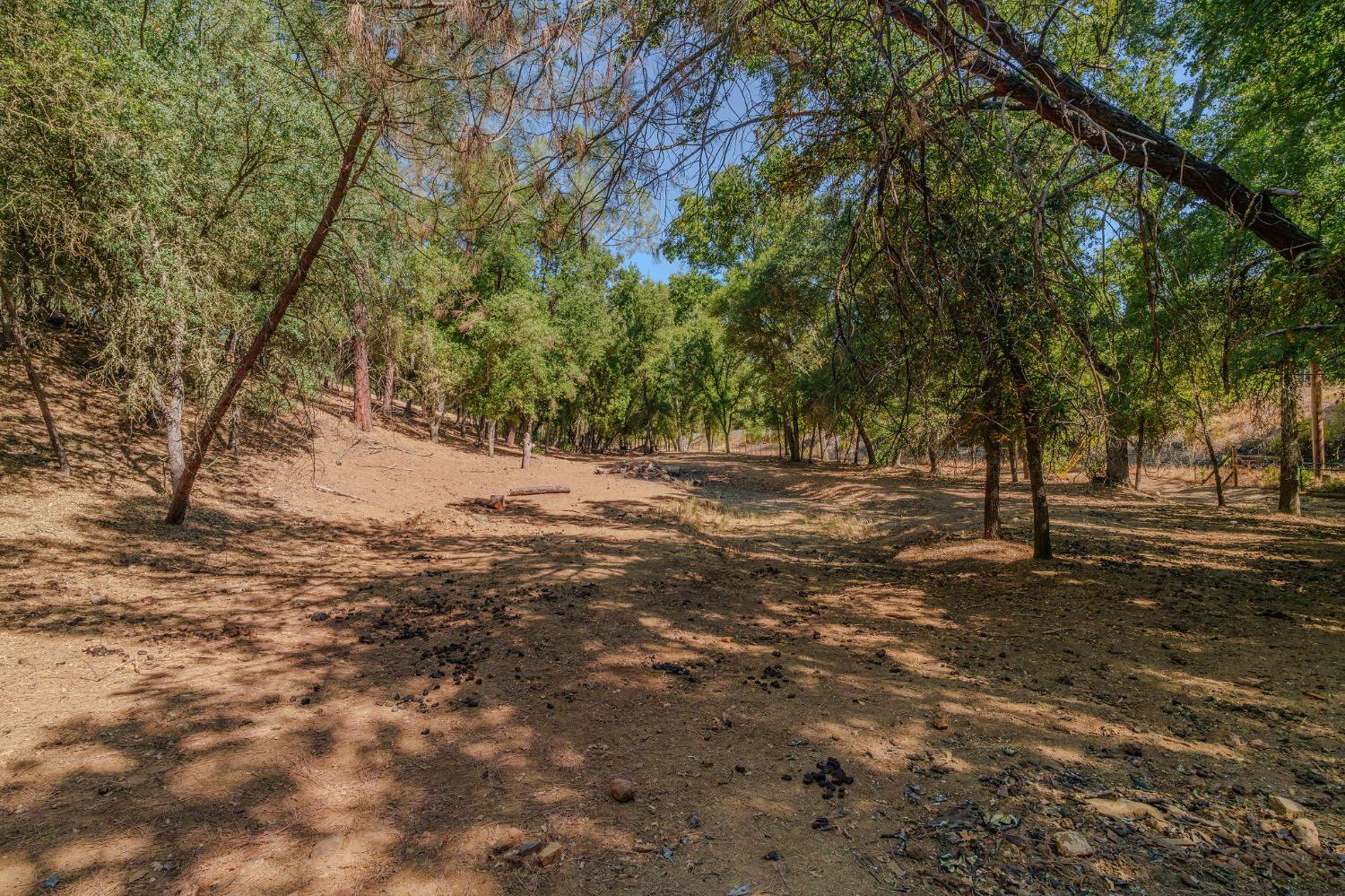 2988 Spring Hill Road San Andreas, CA 95249 - Photo 66 of 95