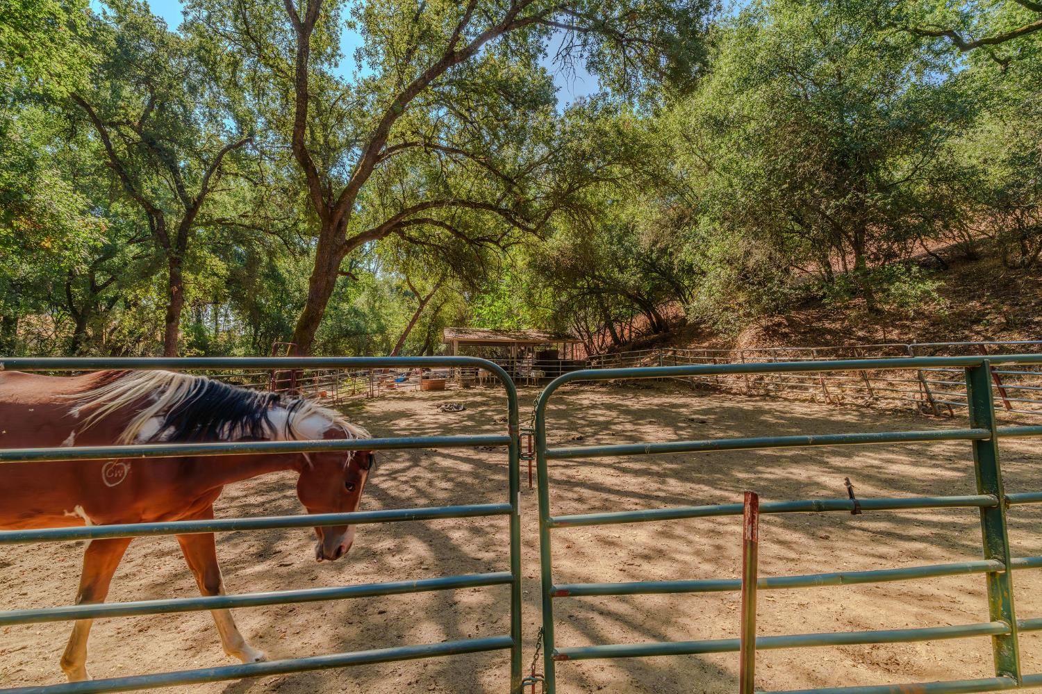 2988 Spring Hill Road San Andreas, CA 95249 - Photo 67 of 95