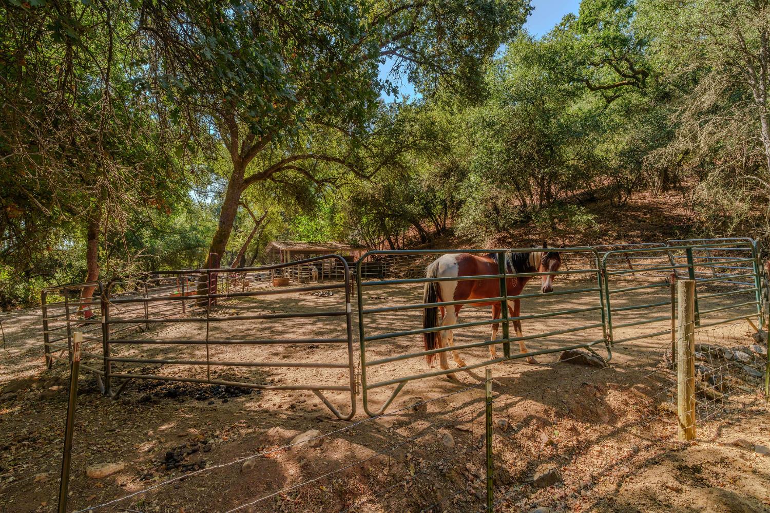 2988 Spring Hill Road San Andreas, CA 95249 - Photo 68 of 95 a view of outdoor space with seating
