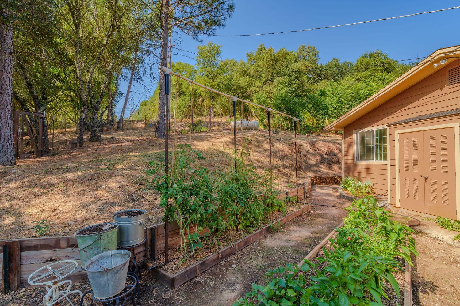 2988 Spring Hill Road San Andreas, CA 95249 - Photo 78 of 95