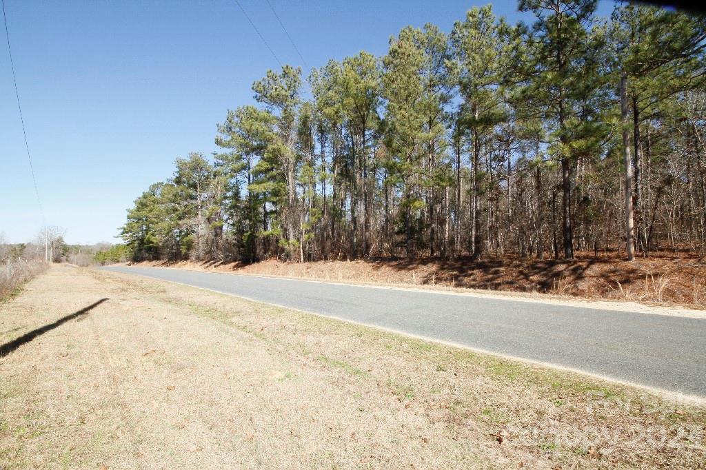 0 Lightwood Road Bennettsville, SC 29512 - Photo 2 of 4 Gallery Image 2