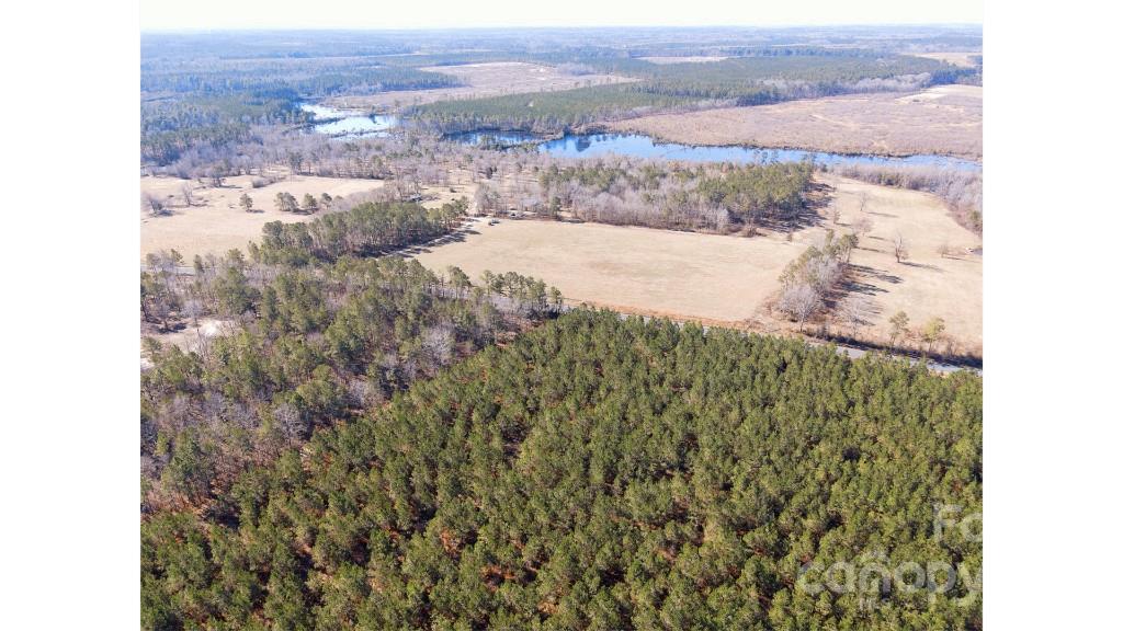 0 Lightwood Road Bennettsville, SC 29512 - Photo 3 of 4 Gallery Image 3