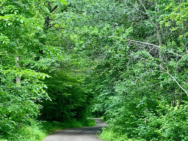 $425,000 | 6604 Southview Point, Siren, WI 54872