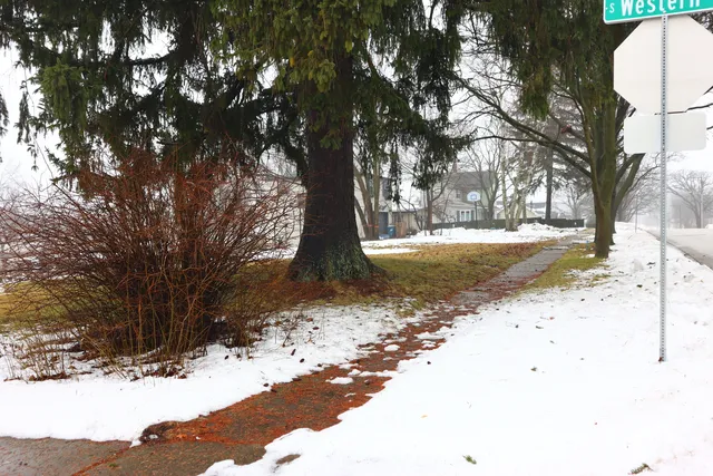 a view of road with snow on the road