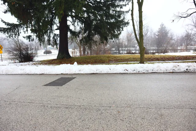 a view of a yard with trees