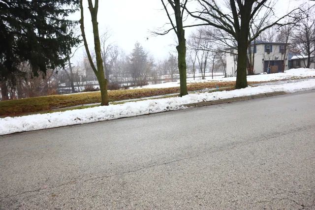 a view of a large tree in front of a house