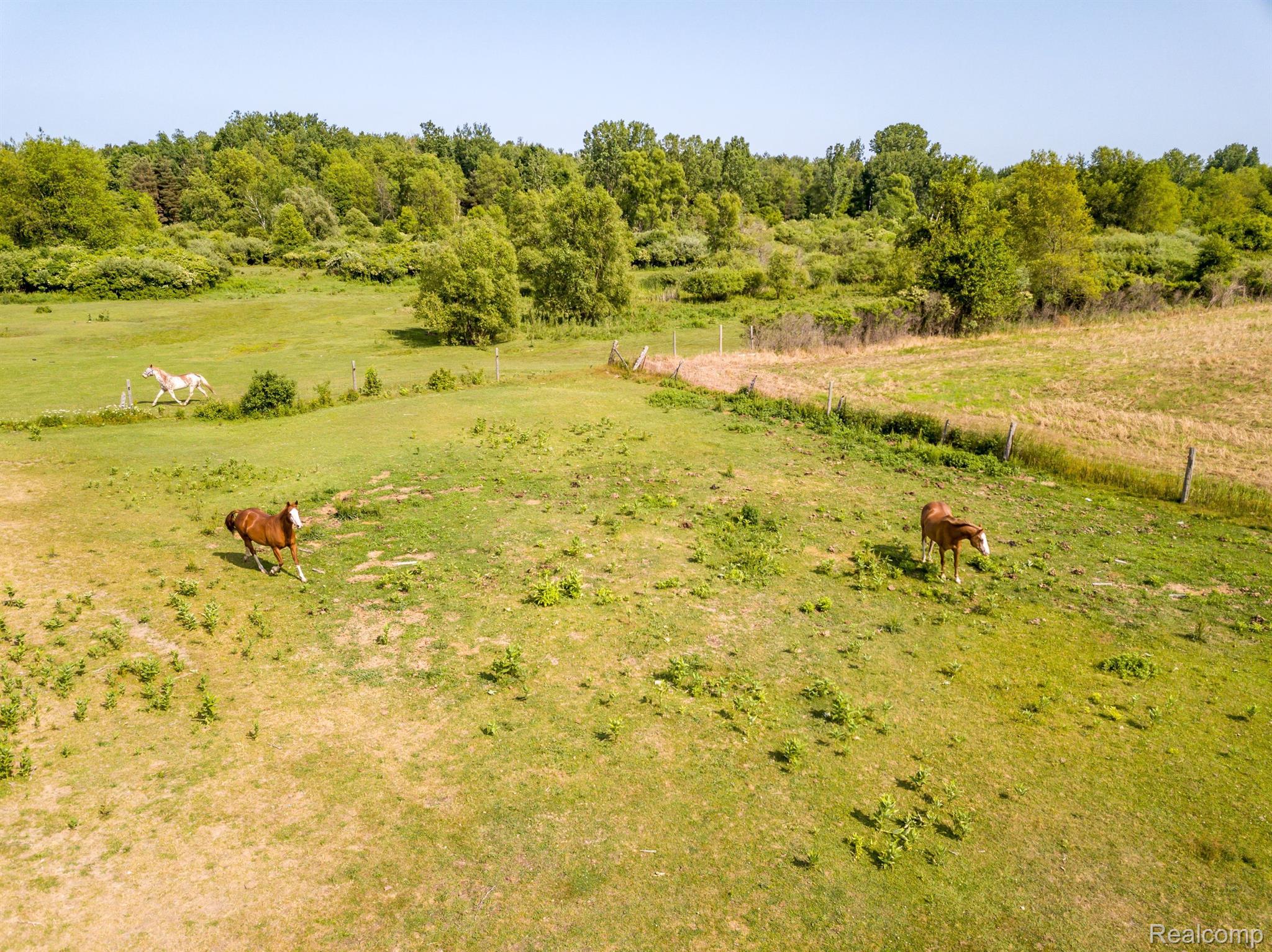 3007 South Kirk Road Vassar, MI 48768 - Photo 28 of 37 Gallery Image 28