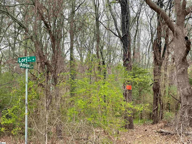 $725,000 | 0 Highway 146 Simpsonville Sc 29681, Greer, SC 29651