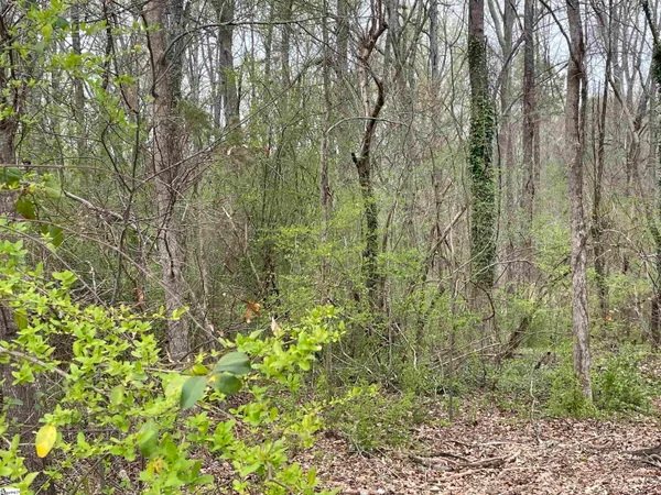 $725,000 | 0 Highway 146 Simpsonville Sc 29681, Greer, SC 29651