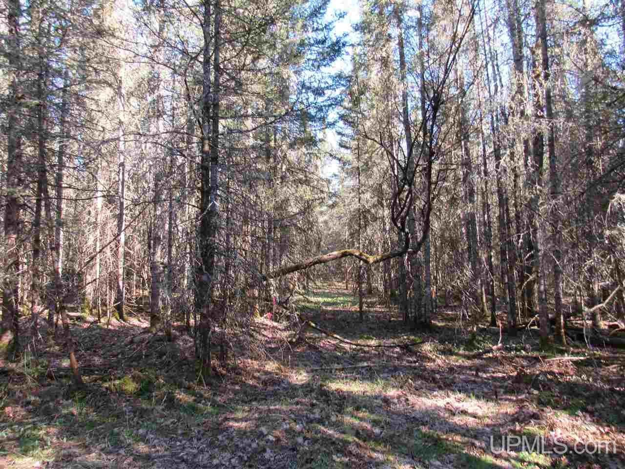 M28 (west) Lanse, MI 49946 - Photo 27 of 30