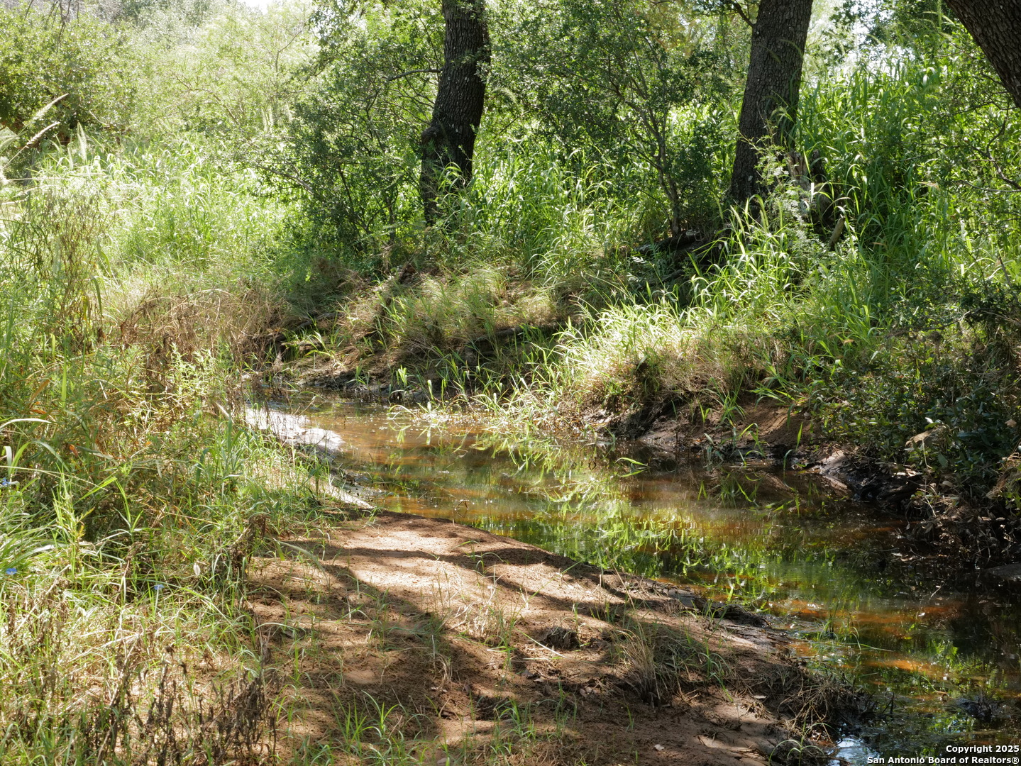 7200 South Us Highw Mason, TX 76856 - Photo 12 of 41 a view of a tree in a yard