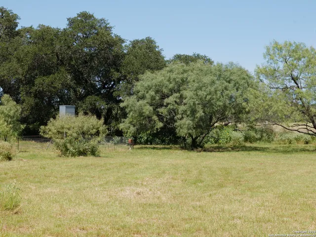 a view of a yard with a tree
