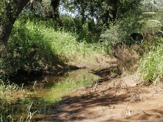 a view of lake and mountain