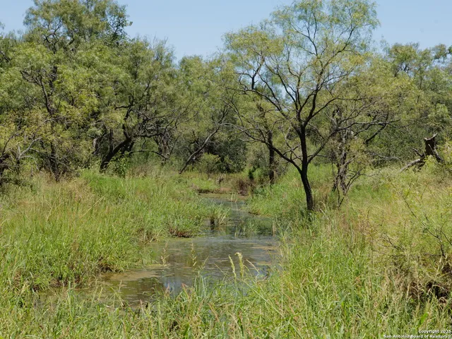 a view of a lush green space