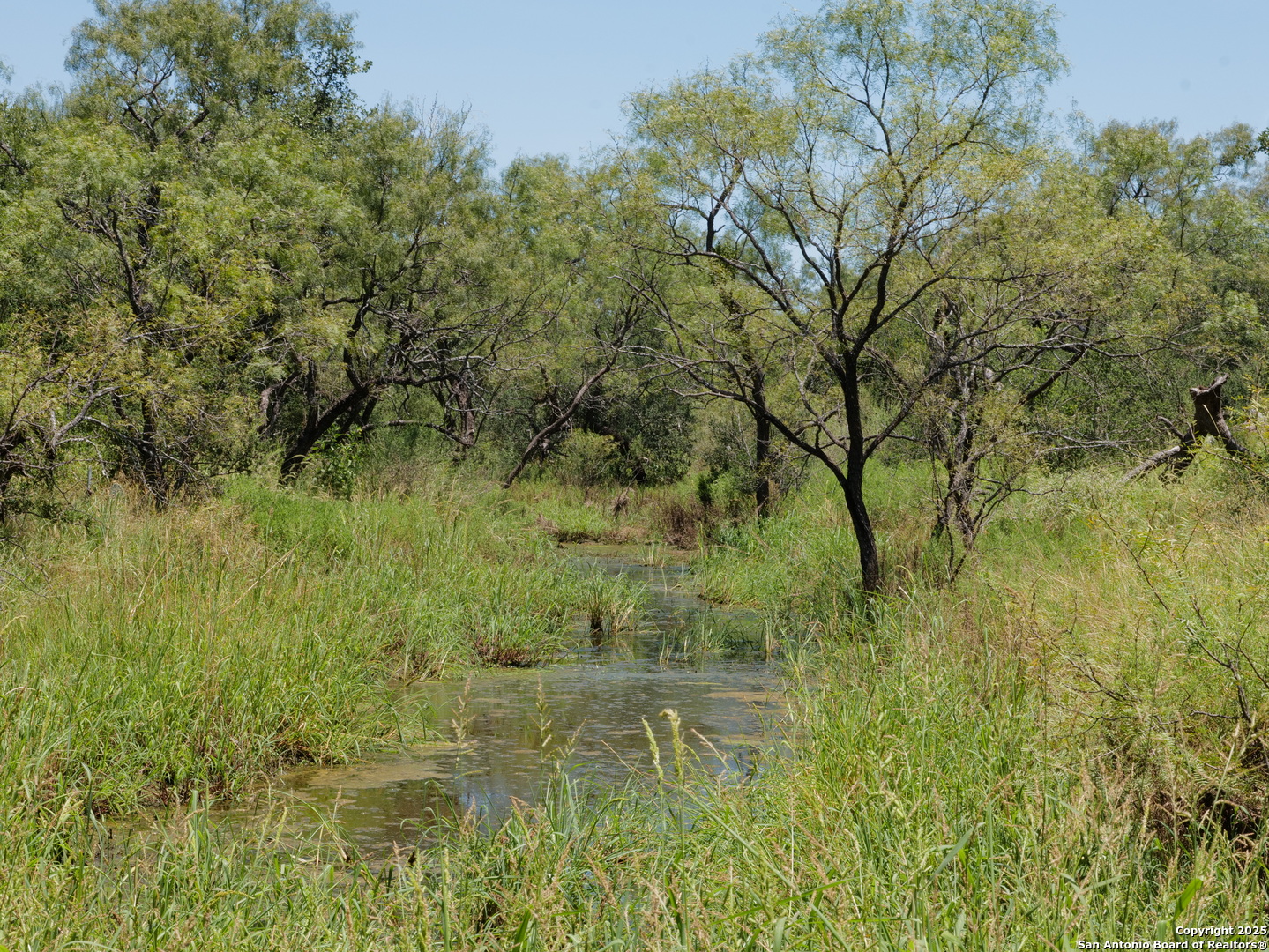 7200 South Us Highw Mason, TX 76856 - Photo 2 of 41 a view of a lush green space