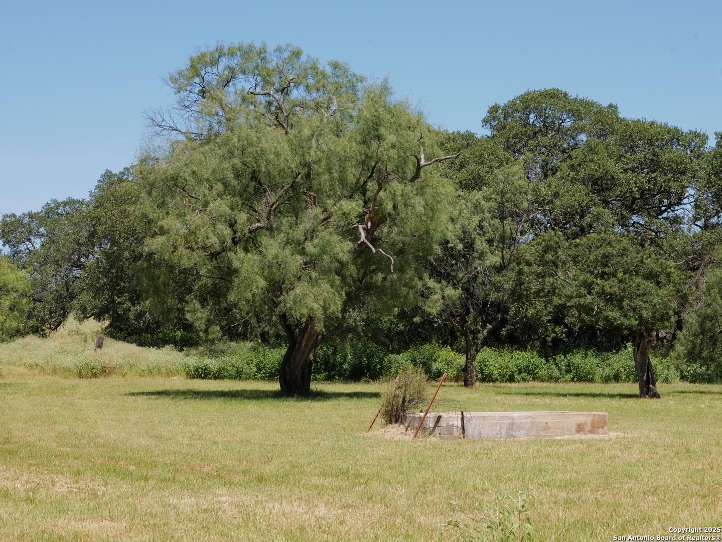 7200 South Us Highw Mason, TX 76856 - Photo 24 of 41 a view of a yard