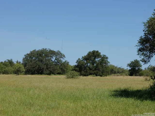 a view of a green field with some trees in the background