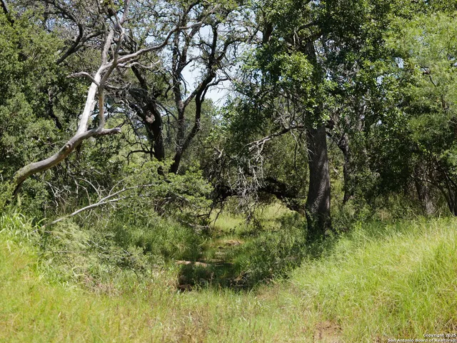 a view of house with a yard